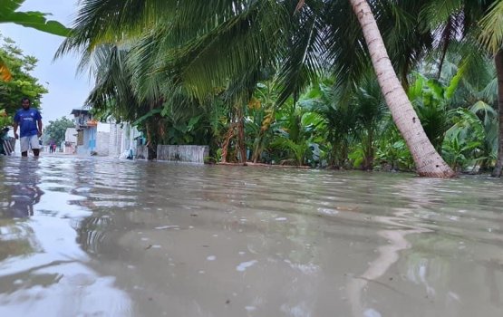 Narudhu ah udha araa bodethi gellun thakeh vejje