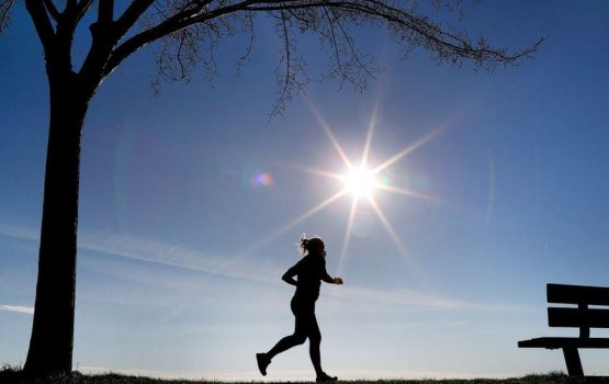 2020 vana aharakee enme hoonu gadha aharuthakuge therein ahareh 