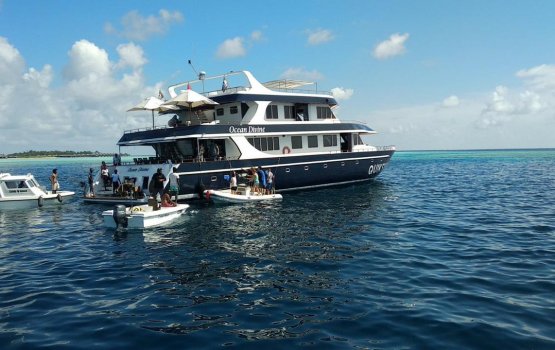 UPDATE: Safari gai hingi alifaanuge haadhisaa gai meehaku fihijje