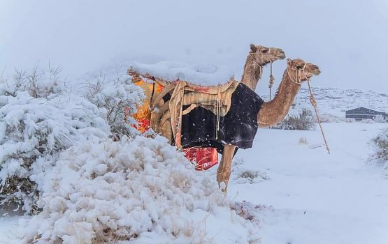 Saudi Arabia ah snow faibanee 