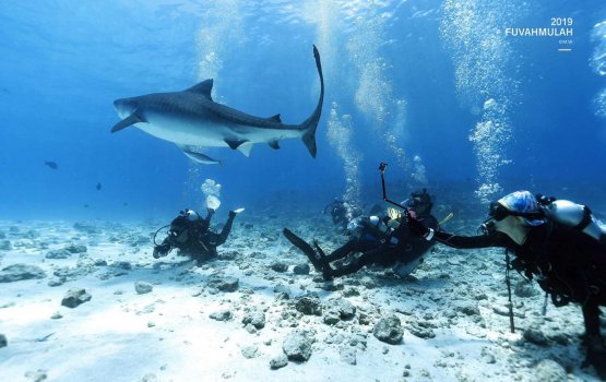 Galaxy S21 aa eku Fuvahmulaku ge kandu adeege hiyy gaimukan National Geographic in!