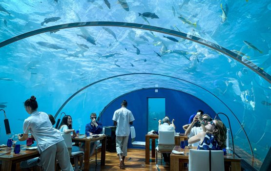 Tourism dhairaa in 12  award dheyn nimaifi