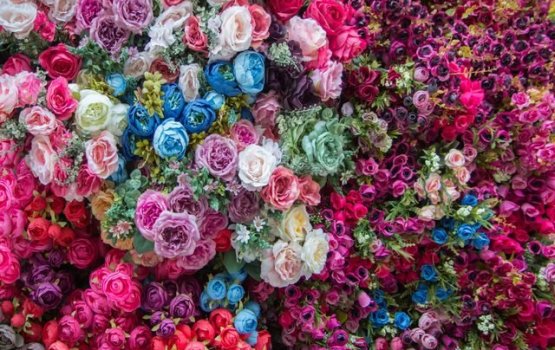 Finifenmaluge kula thakun bunedhenee kon vaahaka eh?