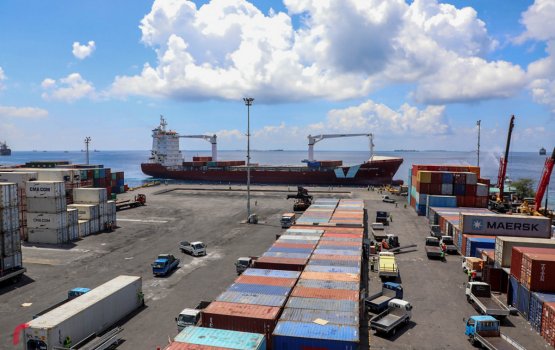 MPL sarahadhhugai turf roll dhashuvimeehaa adhives ICU gai