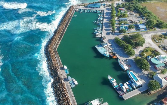 Reygandu 8:00 in fathihu 6:00 ah fuvahmulakugai beyrah nukuthun manaa koffi