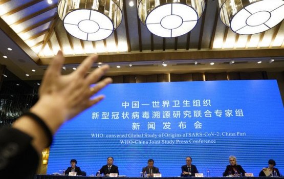 America in foaru kohdhey covid mauloomathuthakh buranuvey: WHO