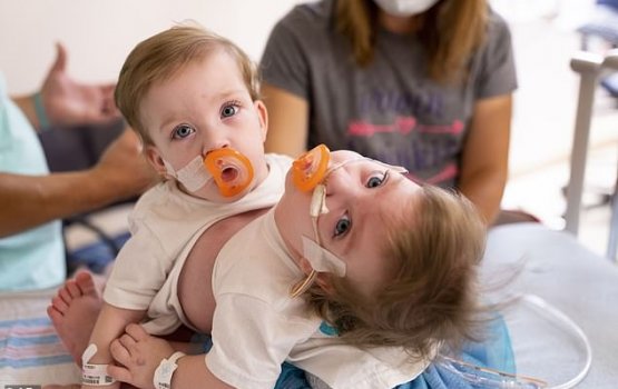 Hashigandun gulhifaivaa dhebein vaki kohfi, Haalu rangalhu 