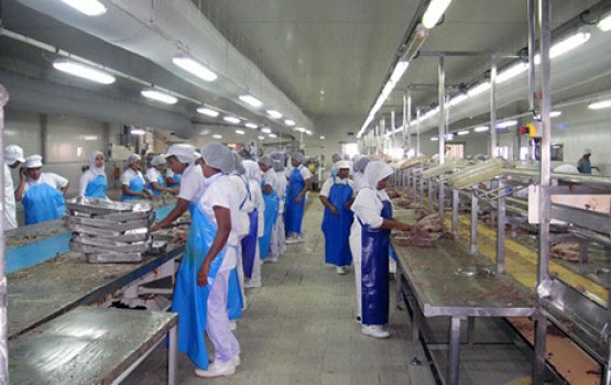 Felivaraai Naifarun furi emmen quarantine vaan edhijje 