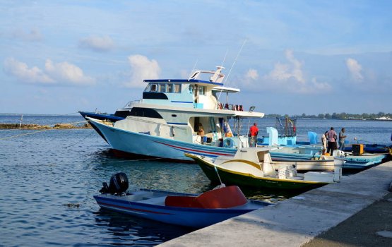 Maradhoo gai mas market alhaanei faraatheh hoadhan iulaan koffi