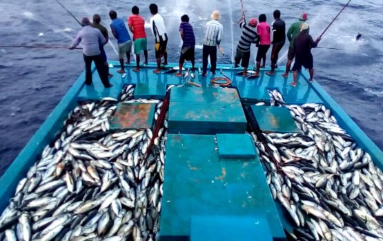 UK-Maldives mashvaraathakun FTA unikuri sababu haamakurumah MDP in govaalaifi