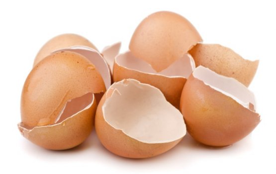 Dhen bisthoshi ehlaa nulaathi!