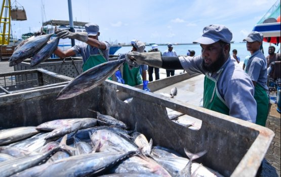 Raajjein export kuri mahuge adhadhah bodu kuri erumeh