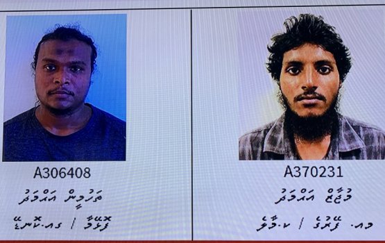 Hamalaa aa gulhigen hayyaru kuri 2 meehege vanavaru aamukohfi