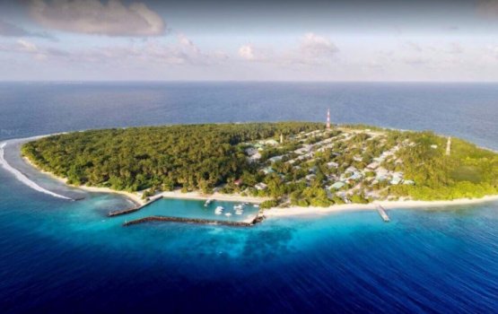 Positive case eh fenumun Lhaimaga arai feybun manaa koffi