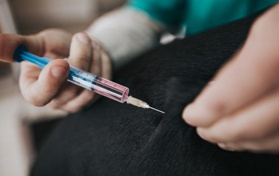 Russia ga janavaarah covid vaccine dheyn fashaifi