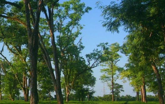 China in vagah nagaigen India gai hehdhi saifai