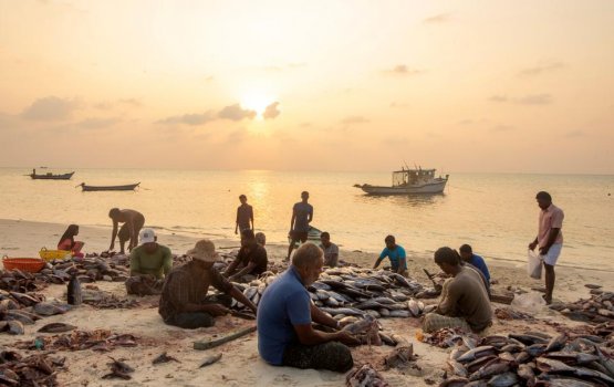 REPORT: Lakshvadheep ge muslimun vissivihaali kollan India in hingaa udhuvaan 