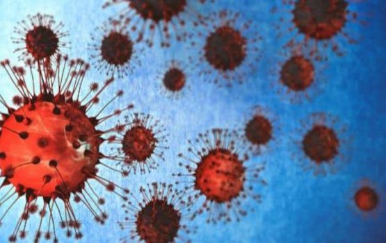 India gai aa pandemic eh ufedhidhaane kamuge biru heevejje
