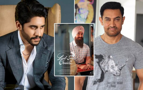 Chaitanya feynun hihhalaaku 