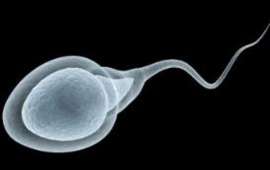 Covid vaccine ge sababun firihenunge dharifanyah asaru kureytha?