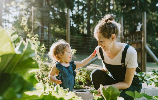 Gas hehdhumakee sihhee gothun ves gina faidha thakeh libey kameh kan engeytha?