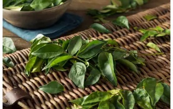 Hikandhi fathuge gina faidhaa thakeh!