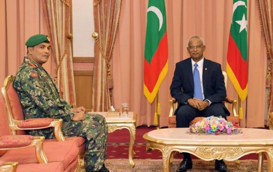 Intelligence Audit Report Raees ah