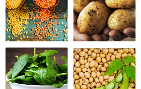 Hashiganduge dhifaaee nizaamu varugadha kurumah beynunvaa baeh muhimmu kaanaa!