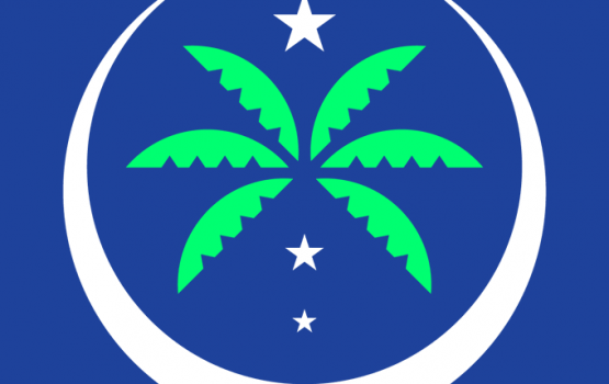 Maldives National Party ge Logo dhakaalaifi