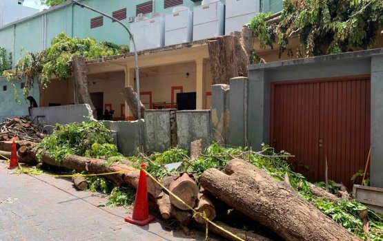 Olympus goathi thereygai huri gasthah kendee EPA ge huhdha libigen: NCA