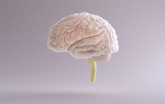 Buhdheege ahuluveriaku kamugai vaasheve