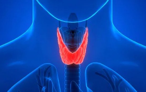 Thyroid baleege kudhi kudhi alaamaiy thah engeytha?