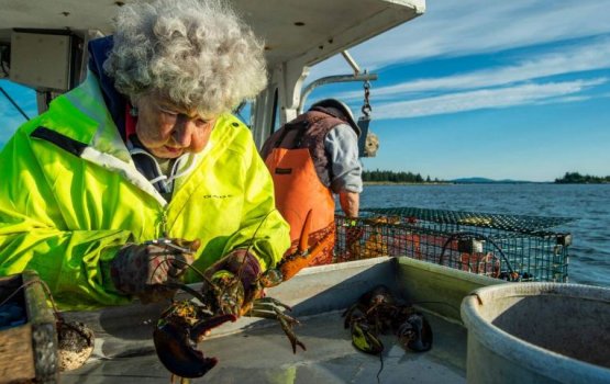 Umurun 101 aharugai ves dinga negun kuriah!