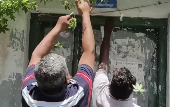 Kinbigasdhoshu geah Jabiru gellun dhin massala balanee