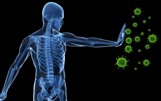 Dhifaaee nizamu varugadha kuran dhiriulhumuge mi aadha thakugai hifahahtaathi!