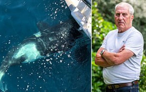 Bodu mahuge hamalaa akun salaamaiy vee kiriyaa!