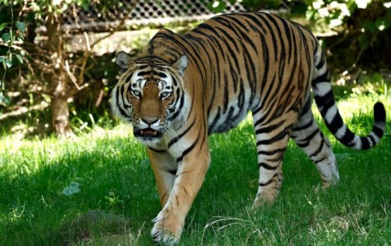 Minika vagehge hamalaa eh amaazuve, anhenaku maruvejje!