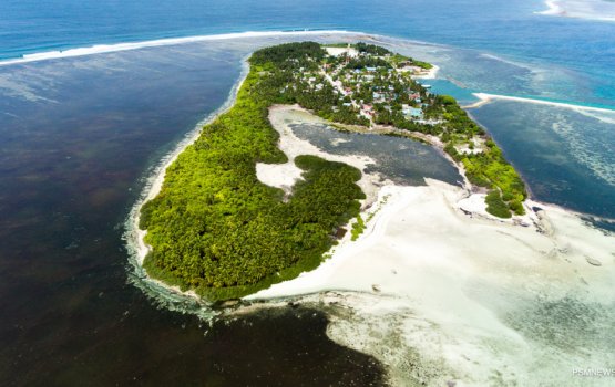 Anekkaa ves 3 rasheh monitoring ge haalathah genesfi