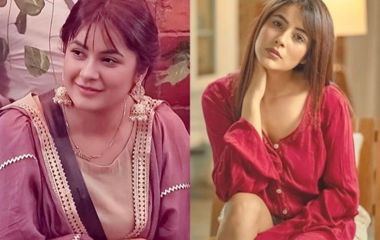 Shehnaaz barudhan luikury diete kohgen