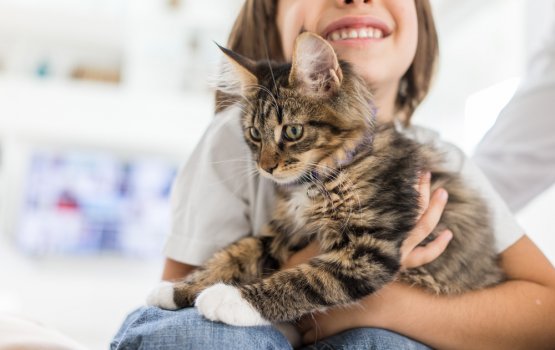 Olhu janavaaru gengulhenvee mihenve