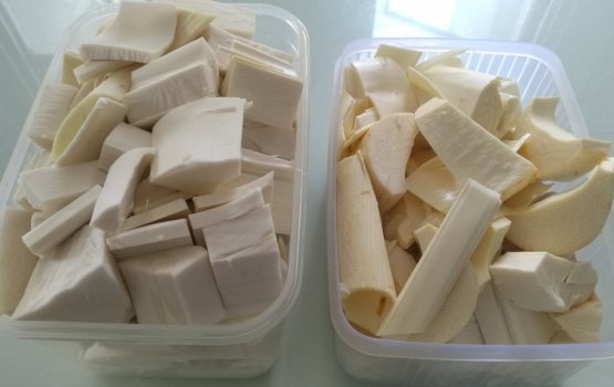  Ruhkurin gina faidhaathakeh libidhey!