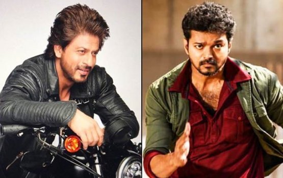 Shah Rukh ge film gai  tamil actor Vijay fenigen dhaane