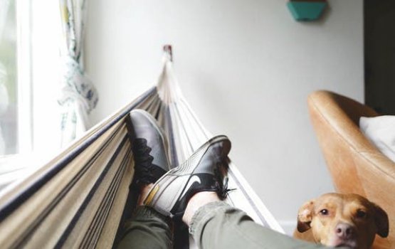 Hus vaguthu gina vumakee sihhathah gellun huri kameh: dhiraasa