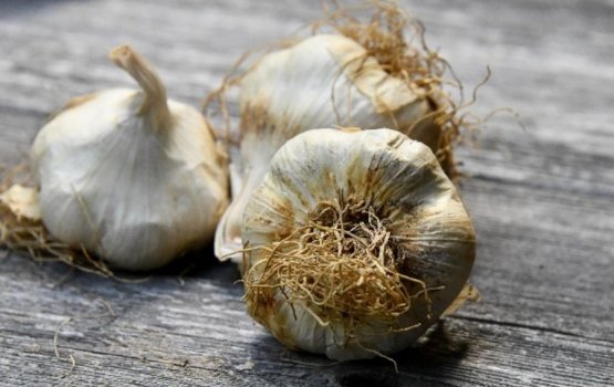 Lonumedhu: Nubai vas dhuviyas kaan vaane!