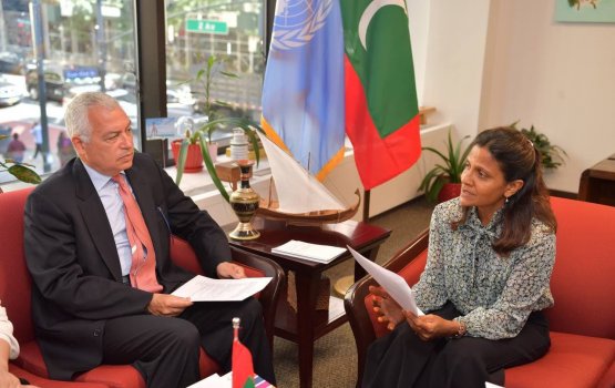 Dhaulathuge eheegai thibey kudhinnah art, music therapy dhenee