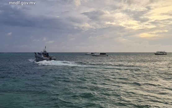 5 Meehunnaaeku dhathuru kuri Supply dhoni eh adiah gosfi