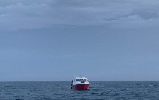 Launcheh adiyah gos kuda kujjaku gellijje 