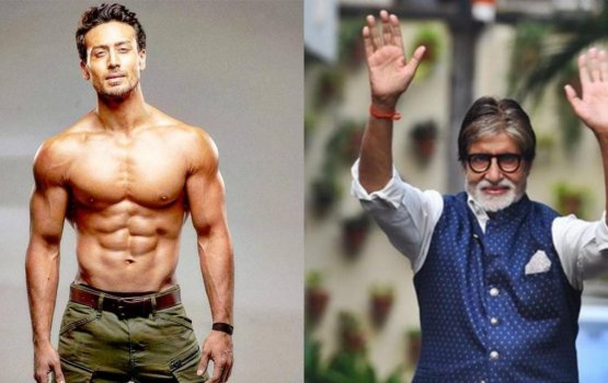 Tiger ge bappa ge role ah Amitabh