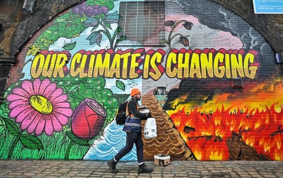 Thelun hakatha ufahdhaa mashroou thakah kharadhu kurun huttaalan 20 gaumakun ebbas vejje