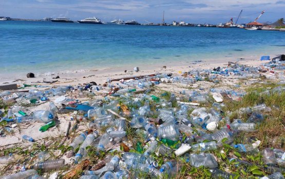 Faadukiyunthah amaazuvumun HDC in Farukolhufushi beach saafu koffi